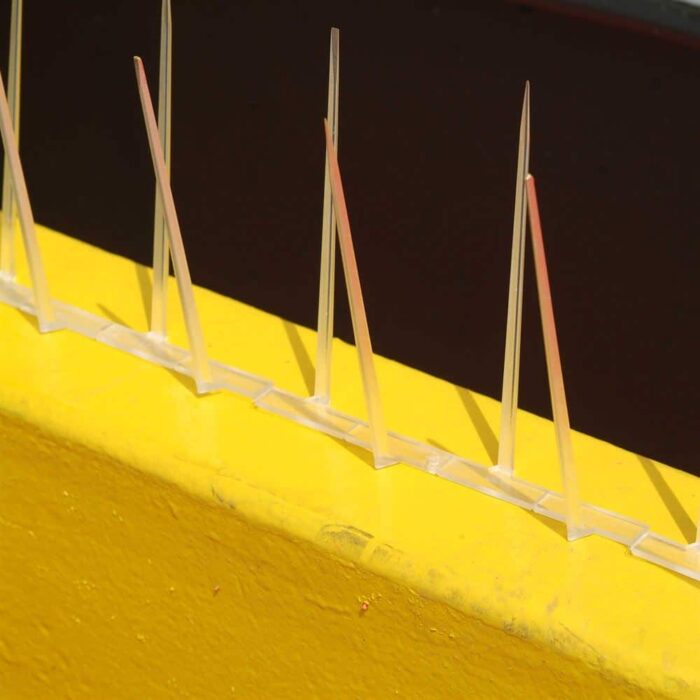 Narrow Plastic Bird Spikes - Image 6