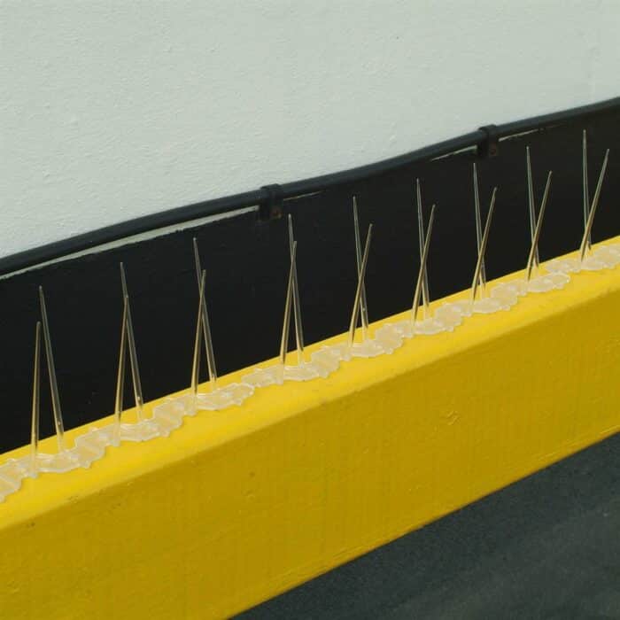 Narrow Plastic Bird Spikes - Image 5