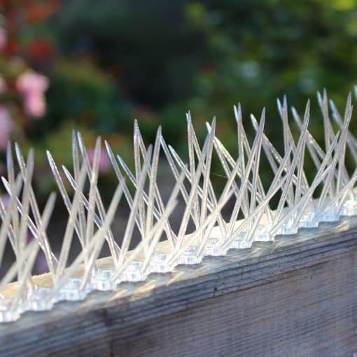 Defender "Thistle" spikes for all types of bird