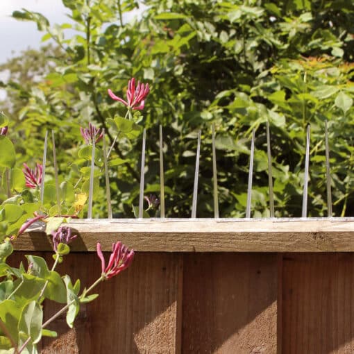 Narrow Plastic Bird Spikes