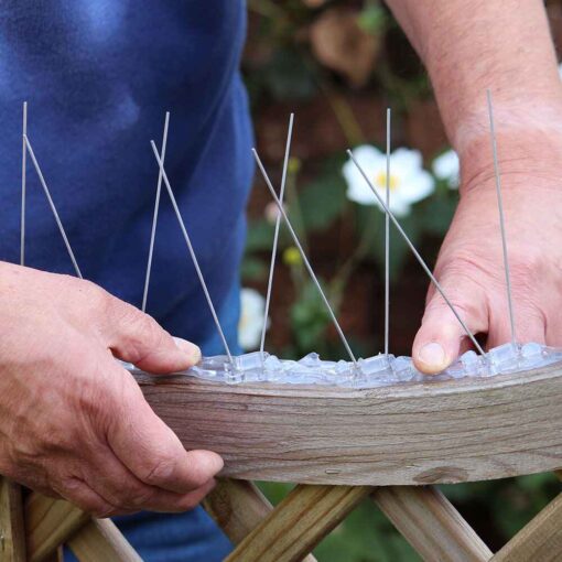 Narrow Steel Bird Spikes - Image 9