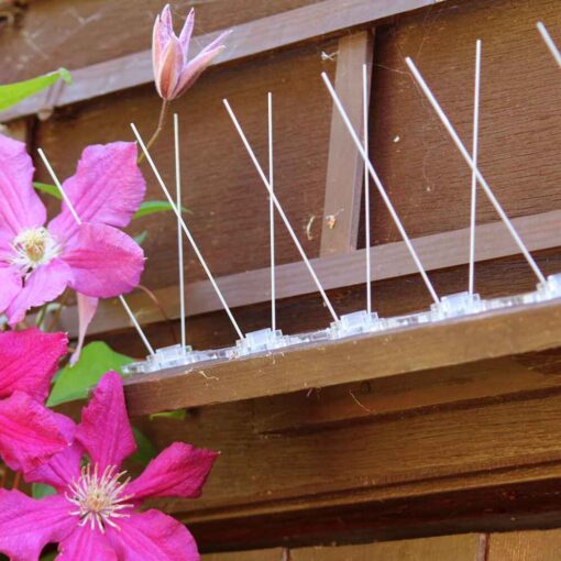 Narrow Steel Bird Spikes