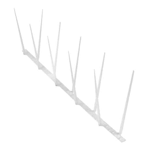 Narrow Plastic Bird Spikes - Image 10