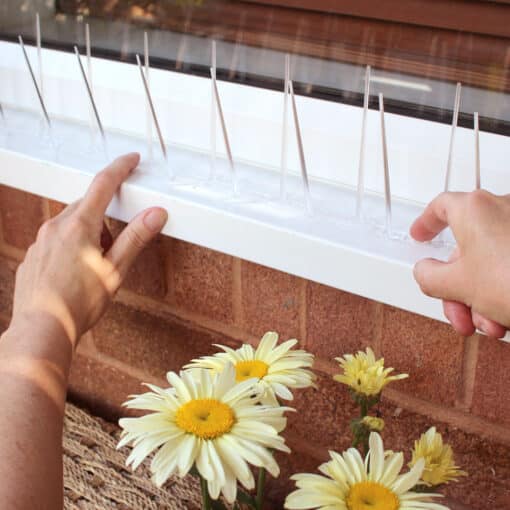 Narrow Plastic Bird Spikes - Image 12