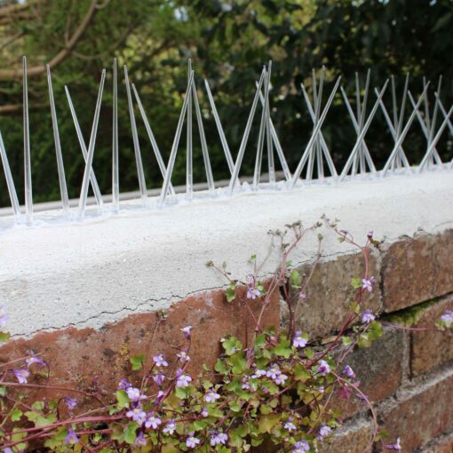 Wide Plastic Bird Spikes