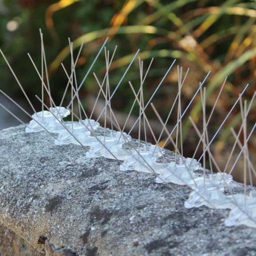 Wide Steel Bird Spikes