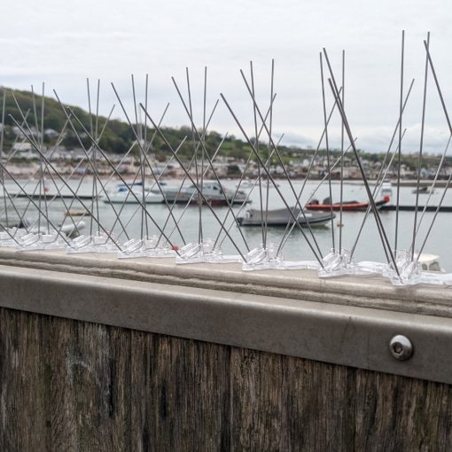 Extreme Wide Gull Spikes - Image 3