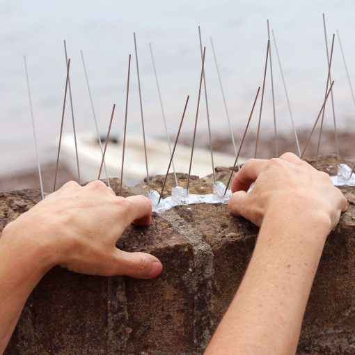 Steel Gull Spikes - Image 9