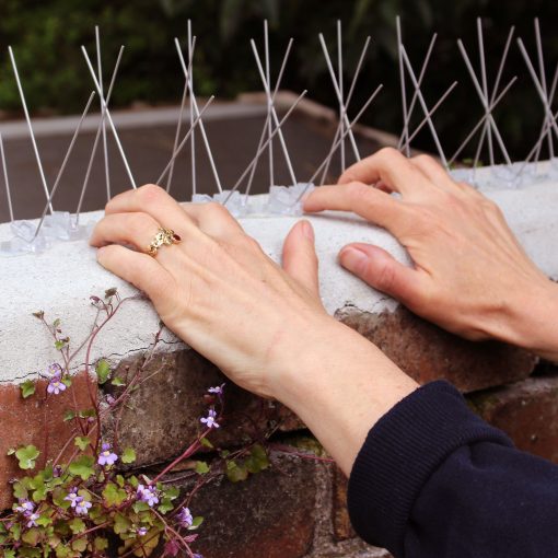 Wide Steel Bird Spikes - Image 12