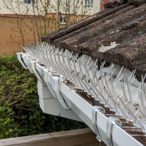 Thistle Gutter Protection