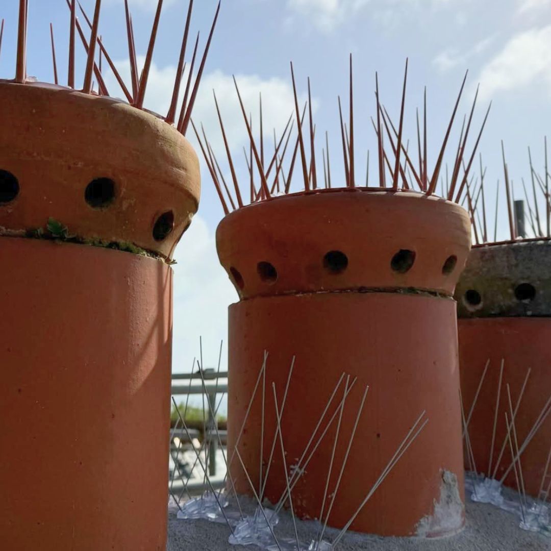 Chimney Crown Bird Guard - Image 7