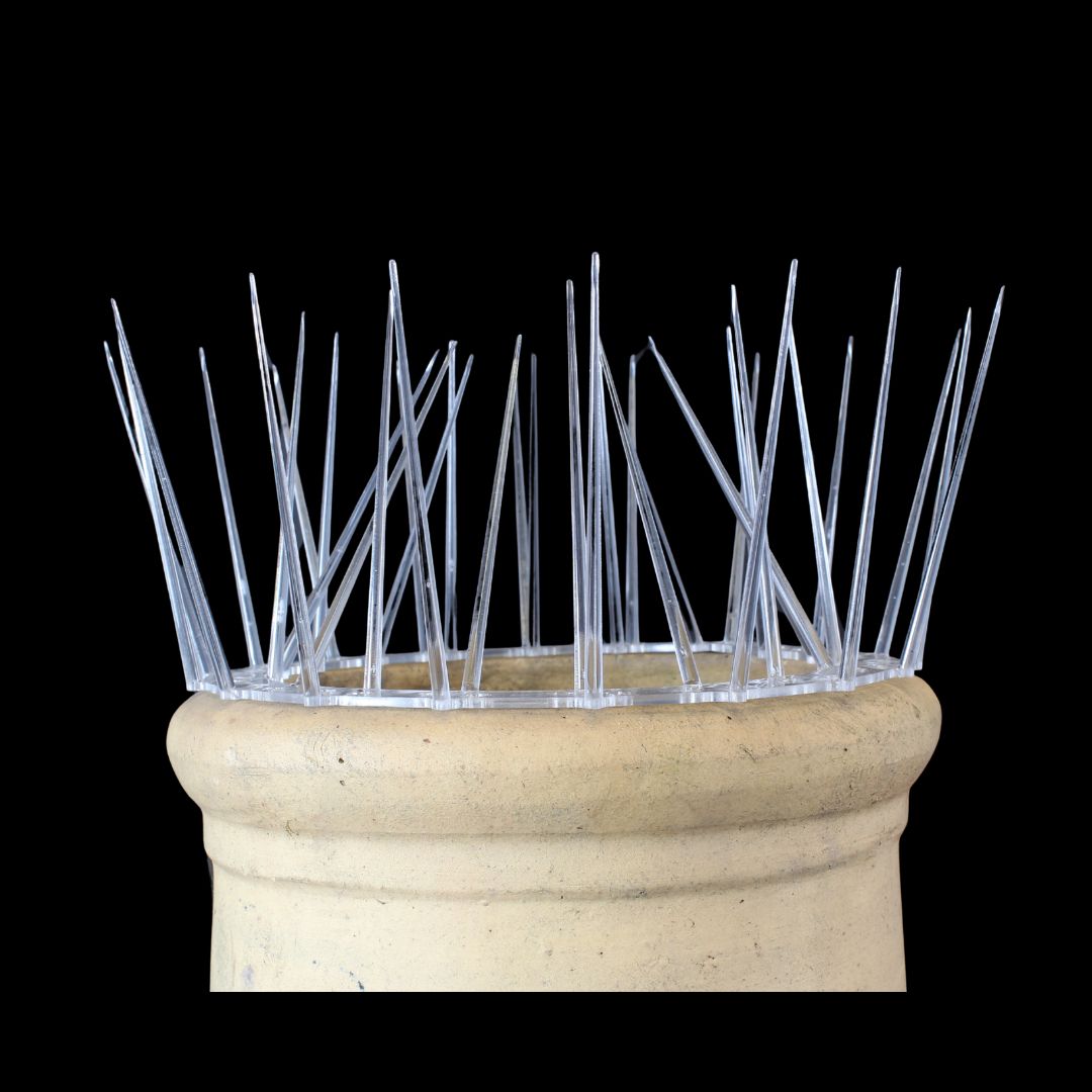 Chimney Crown Bird Guard - Image 3