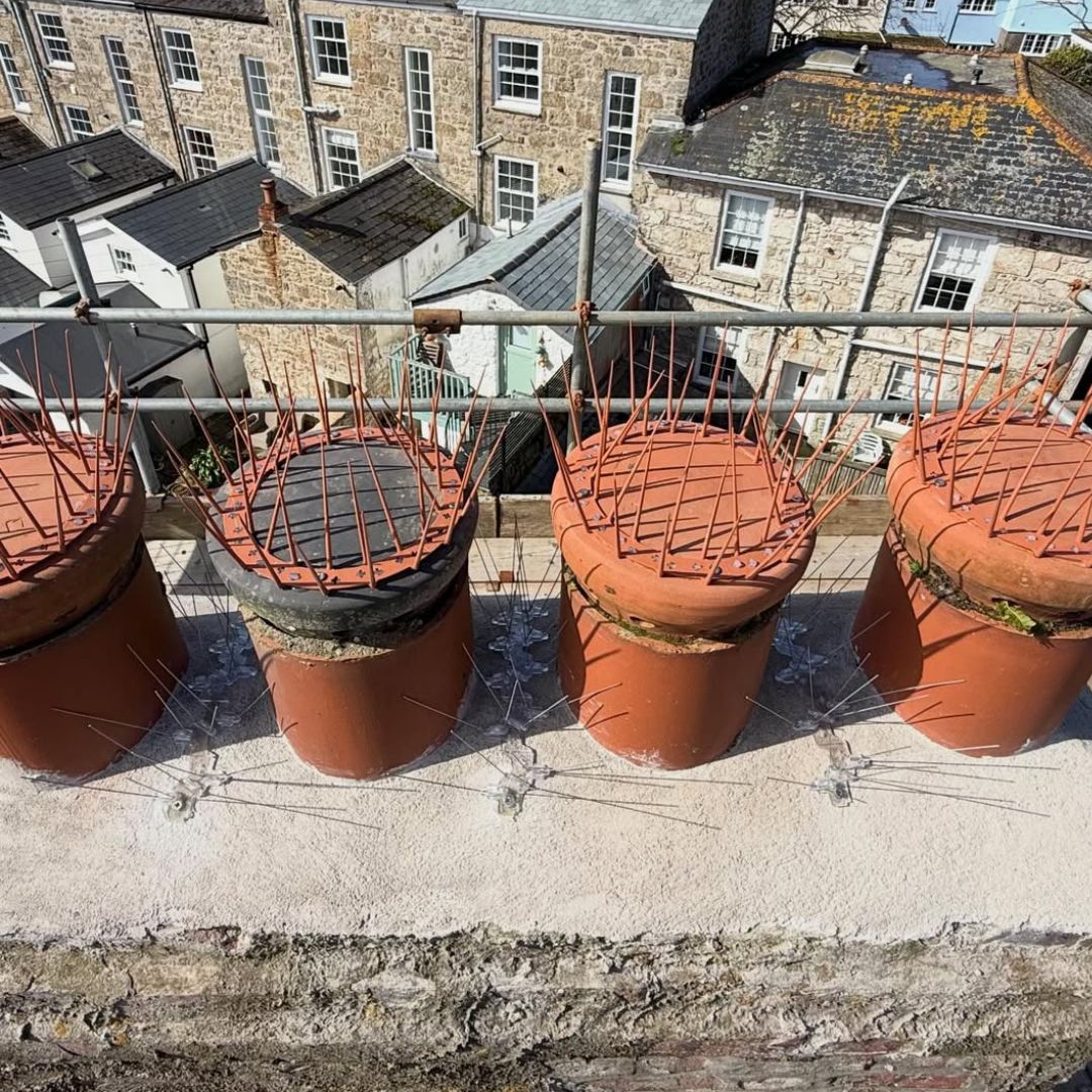 Chimney Crown Bird Guard - Image 8