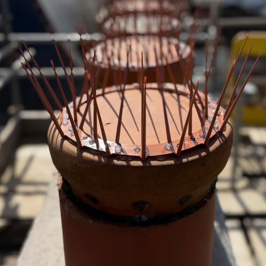 Chimney Crown Bird Guard - Image 10