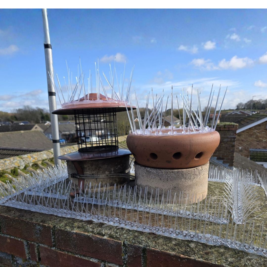 Chimney Crown Bird Guard - Image 11