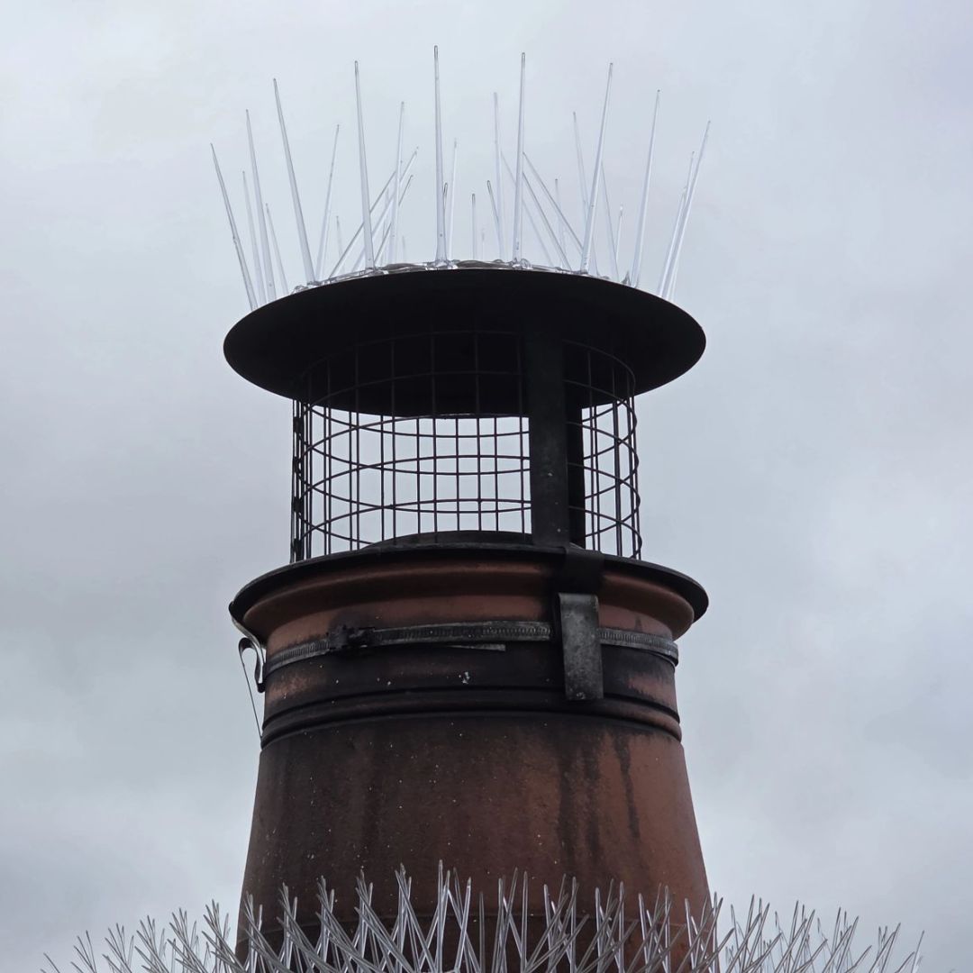 Chimney Crown Bird Guard - Image 12