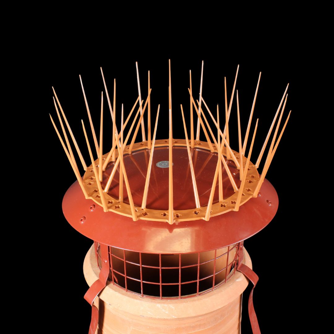 Chimney Crown Bird Guard - Image 4